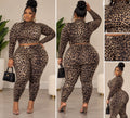 Here Kitty Kitty Set